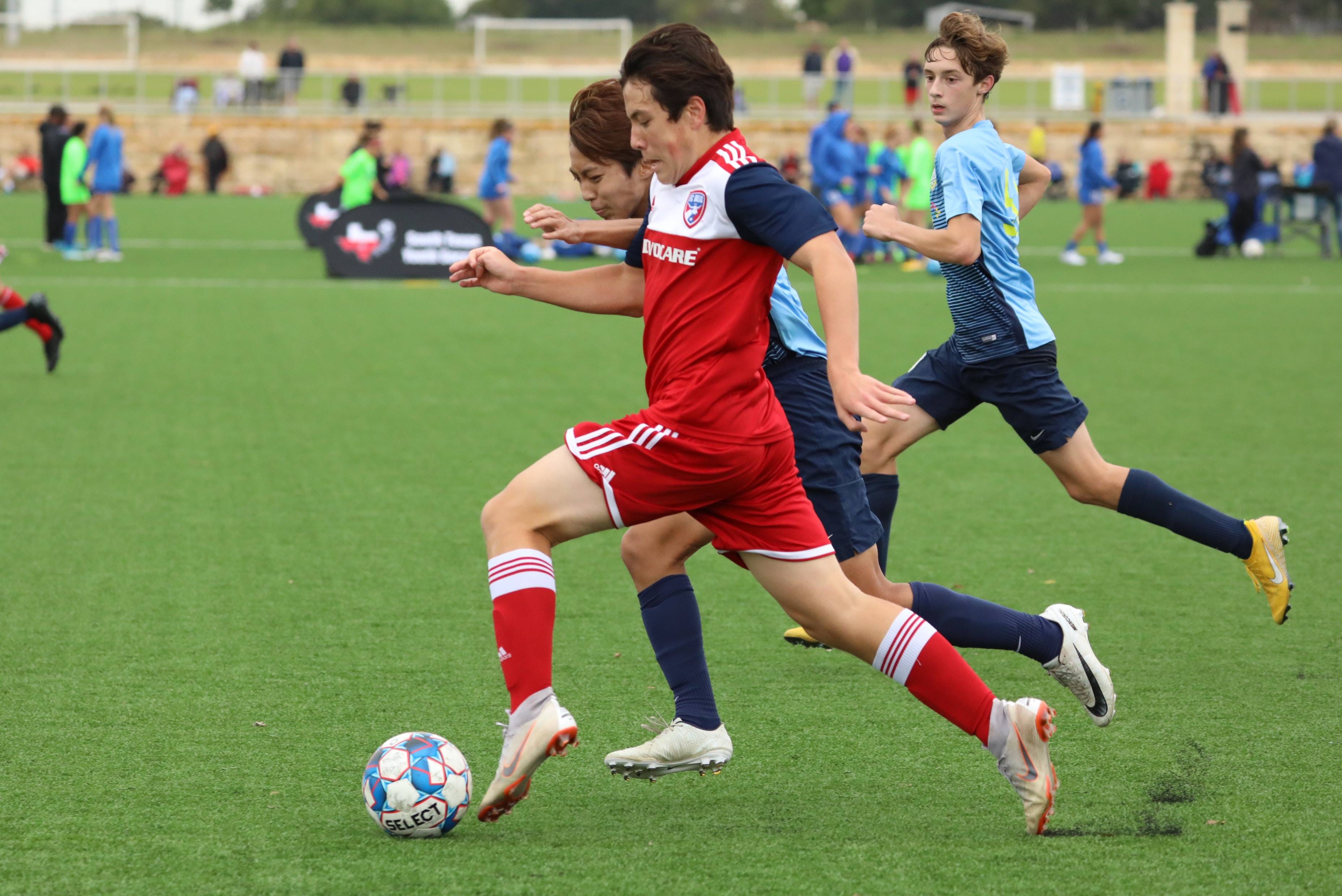 青岛队的核 青岛队的核